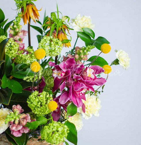 Букет Тропические Джунгли — Повод Найдется