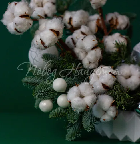 Зимние грезы