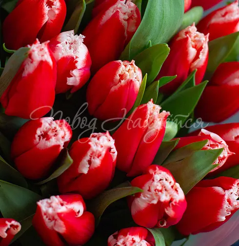 Букет Яркий вечер — Повод Найдется