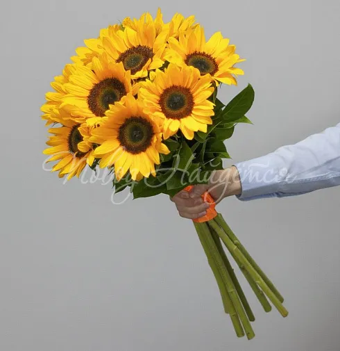 Букет Солнечные зайчики — Повод Найдется