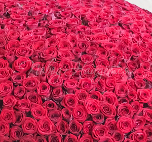 1001 роза Букет Дублин