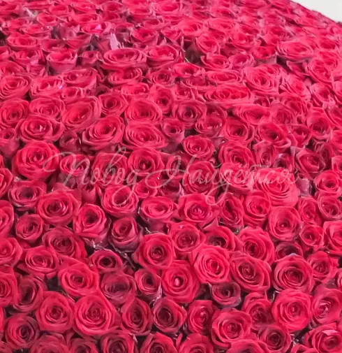 Букет Дублин — Повод Найдется