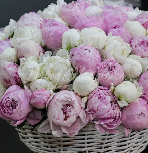 Букет Куршавель — Повод Найдется