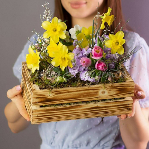 8.03 Весенний лес