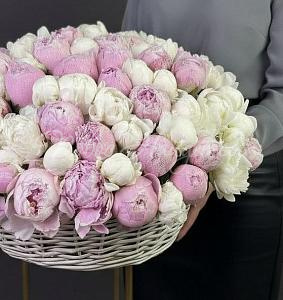 ПИОНЫ Букет Отрываюсь от Земли