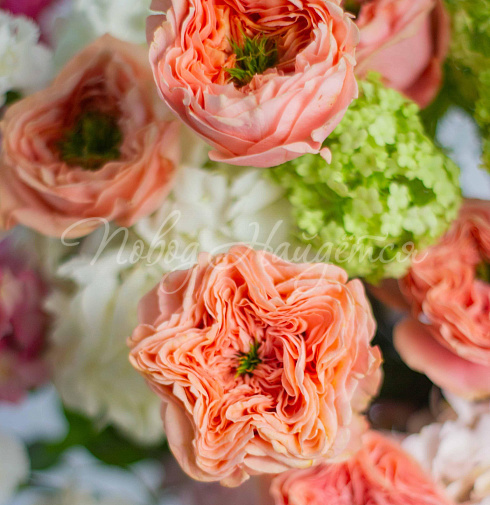 Букет В центре внимания — Повод Найдется