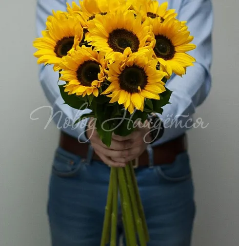 Букет Солнечные зайчики — Повод Найдется