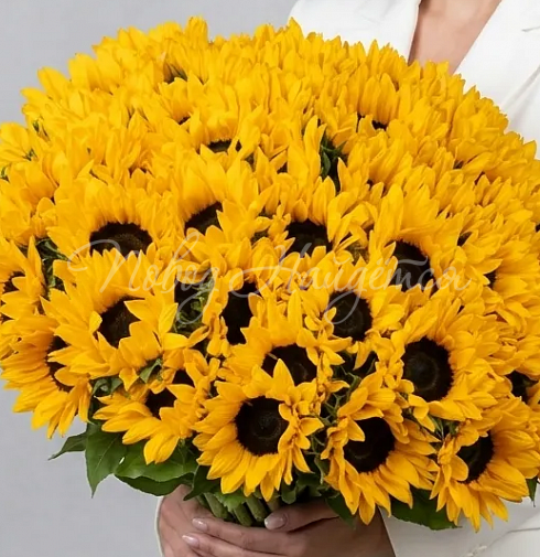 Букет Солнечные объятия — Повод Найдется