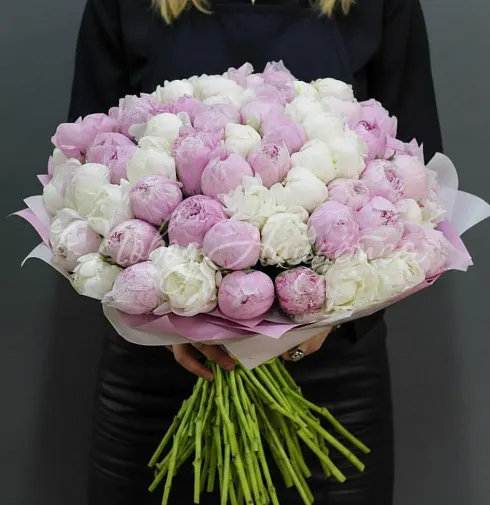 Букет 101 пион микс — Повод Найдется