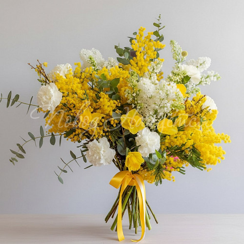 8.03 Свет солнца