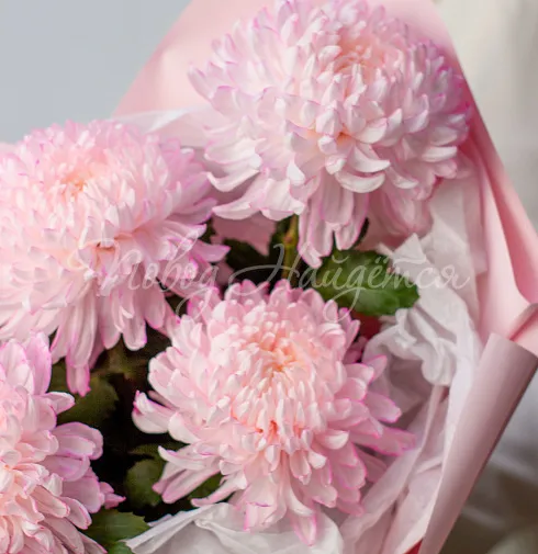 Букет Джерси — Повод Найдется