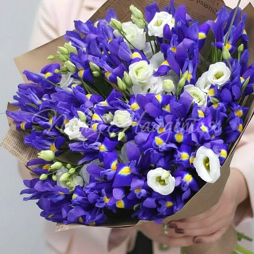 ИРИСЫ Букет Капризная