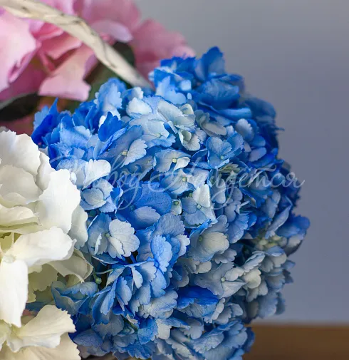 Букет Зефирное мороженое — Повод Найдется