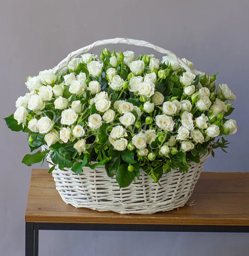 Корзина Бенефис — Повод Найдется