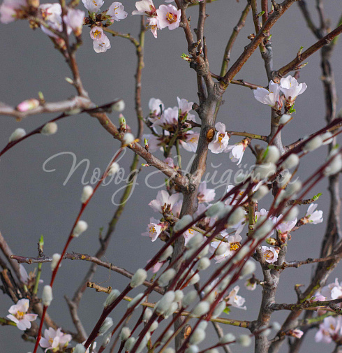 Пасхальный сет № 3