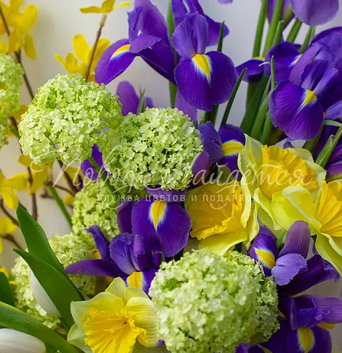 Букет Франческа — Повод Найдется