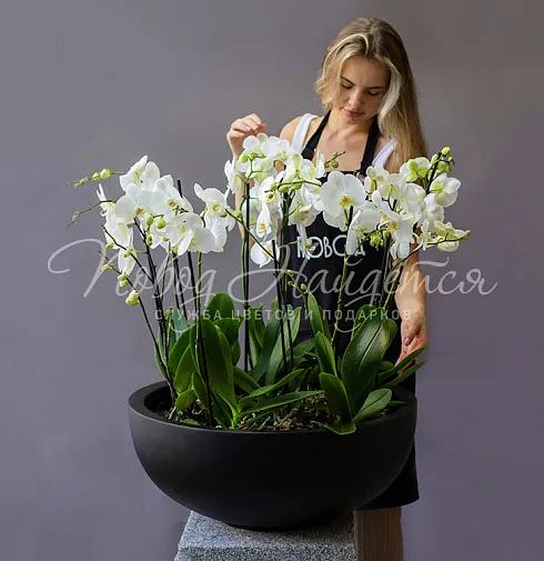 Цветочная композиция Нирвана — Повод Найдется