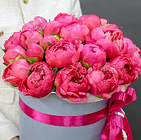 ПИОНЫ Букет Райский розовый
