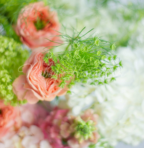 Букет В центре внимания — Повод Найдется