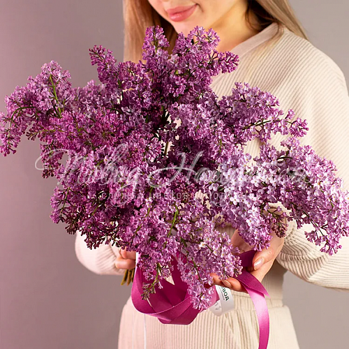 СИРЕНЬ Букет Весенняя песня