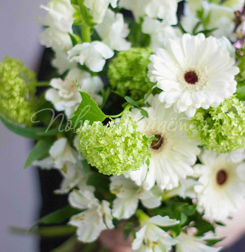 Букет Сбывшиеся мечты — Повод Найдется