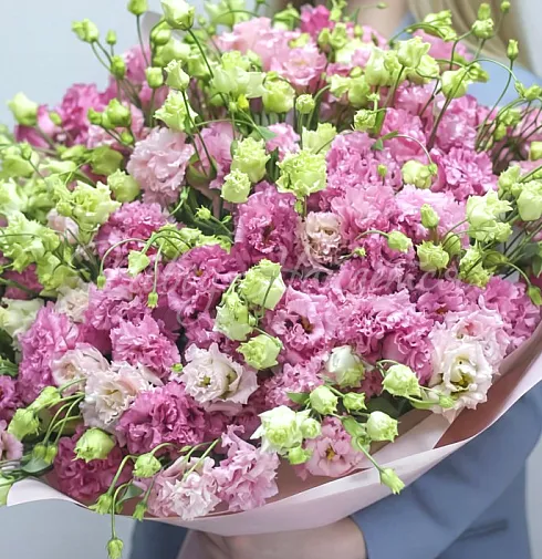 Букет Миэль — Повод Найдется