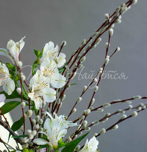 Воздух апреля