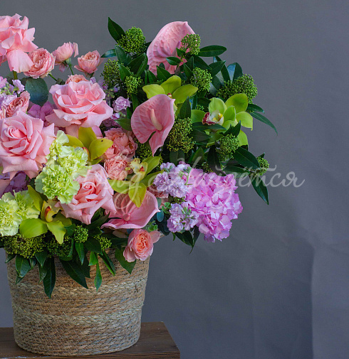 Корзина Житель твоих снов — Повод Найдется