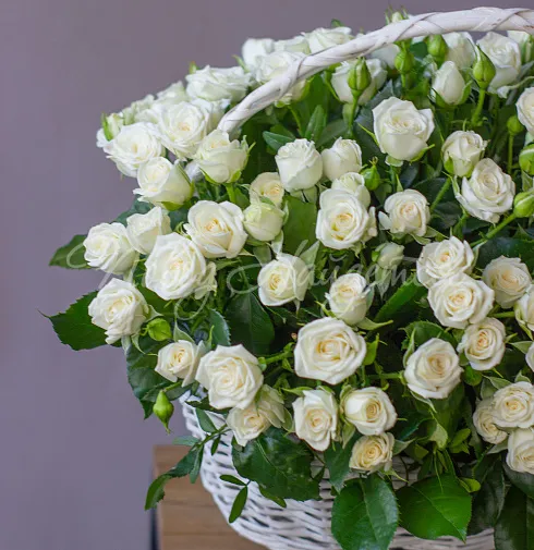 Корзина Бенефис — Повод Найдется