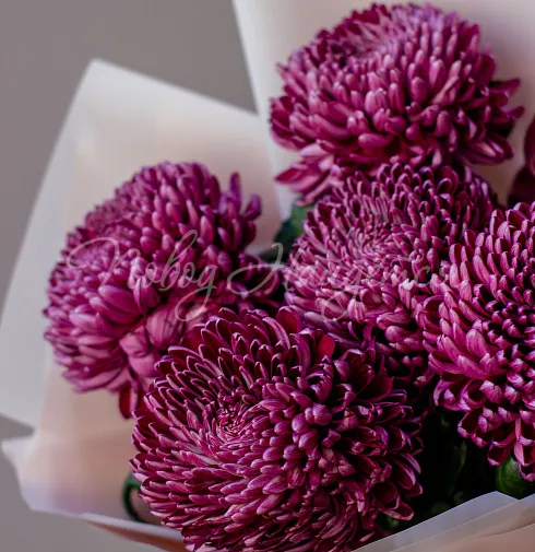 Букет Шелк — Повод Найдется