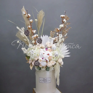  Дикая орхидея