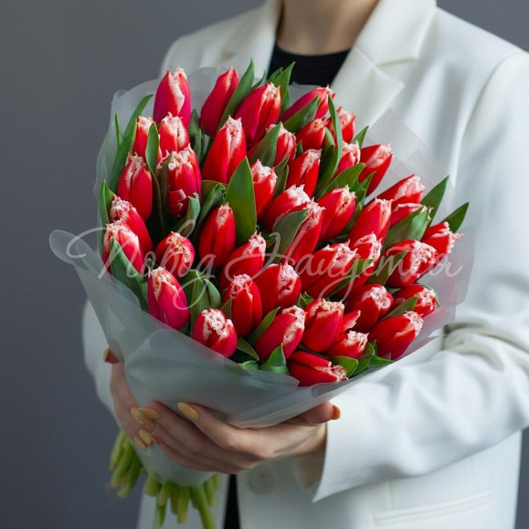 8.03 Яркий вечер