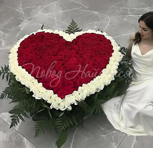 501 роза Букет Безумно влюблен