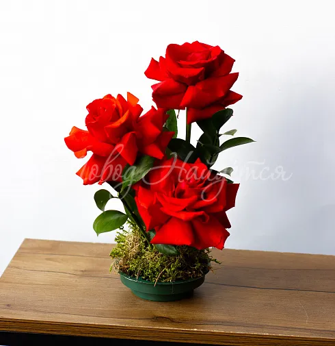 Цветочная композиция Композиция №149 — Повод Найдется