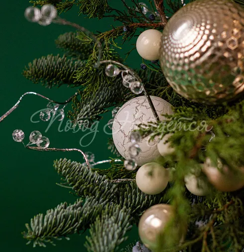 Сказочная история