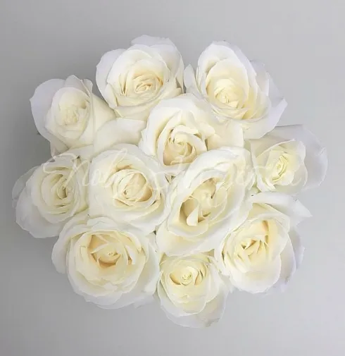 Корзина Комплимент по-французски — Повод Найдется