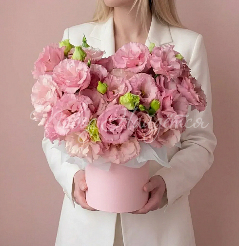 Корзина Алиса — Повод Найдется