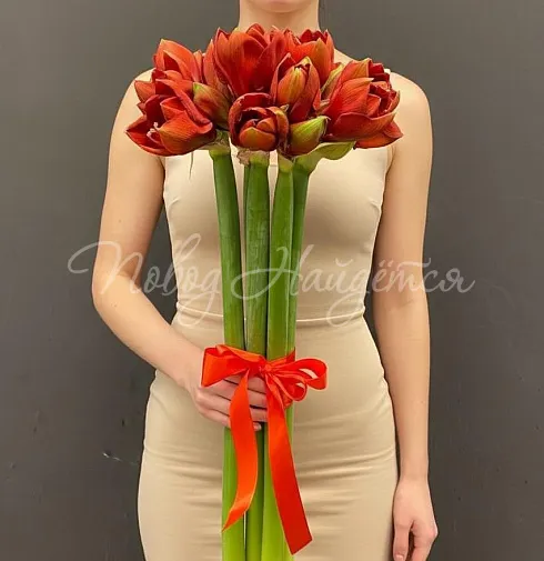 Букет 9 амариллисов — Повод Найдется