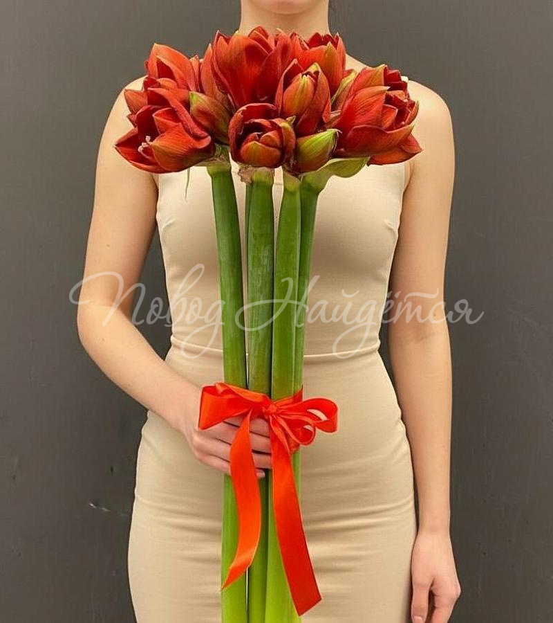 Букет 9 амариллисов