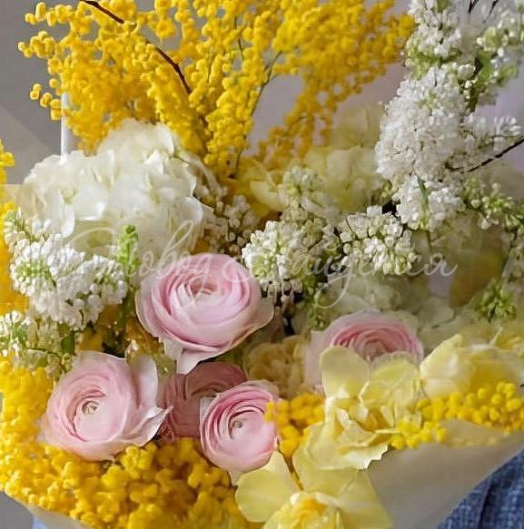 Солнечный день