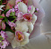 Хороший знак