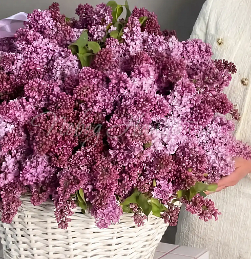 Букет В саду сирени — Повод Найдется