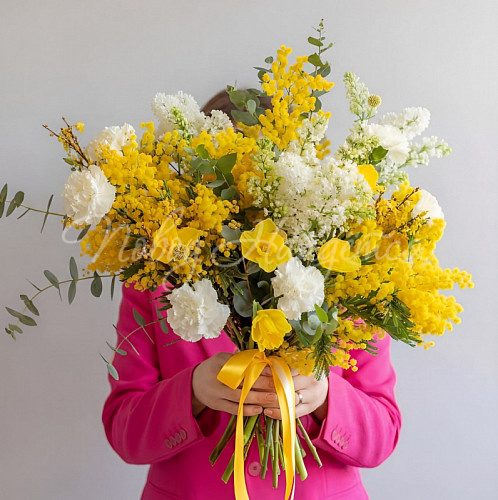 8.03 Свет солнца