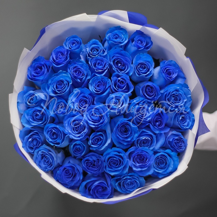 Магазин вокруг роз. Букет синих роз. Голубые розы букет. Красивый букет синих роз. Букет из голубых роз.