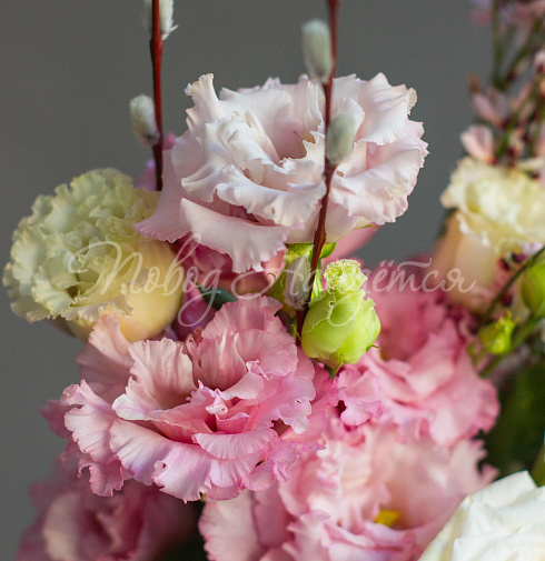 Новая весна