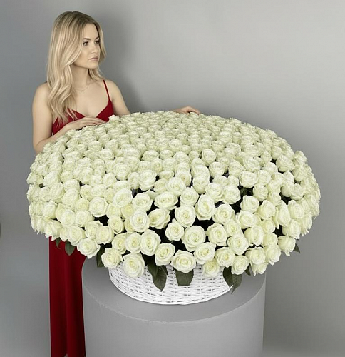 Букет 501 белая роза в корзине