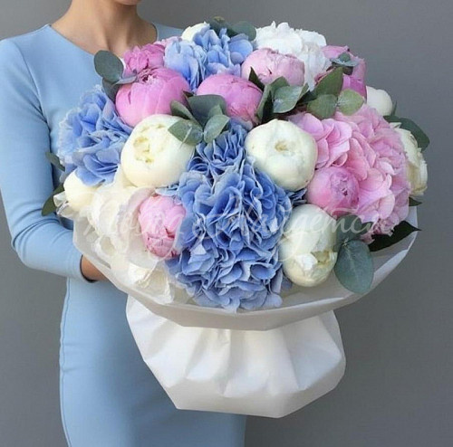 Букеты с ГОРТЕНЗИЯМИ Букет Великолепной