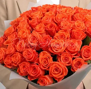 51 роза Букет Яркий Штрих