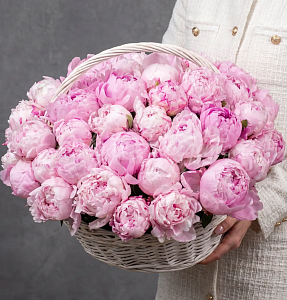 ПИОНЫ Букет Лазурный берег