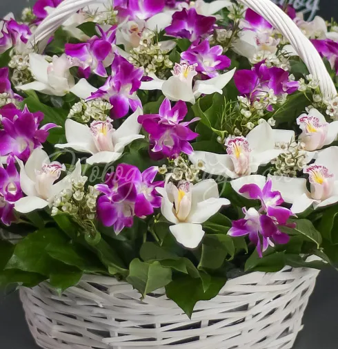 Корзина Токио — Повод Найдется